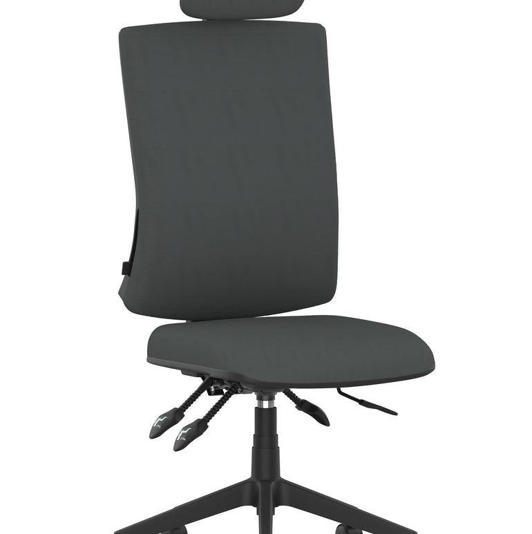 Orlena High Back Ergonomic Task Operator Office Chair with Headrest