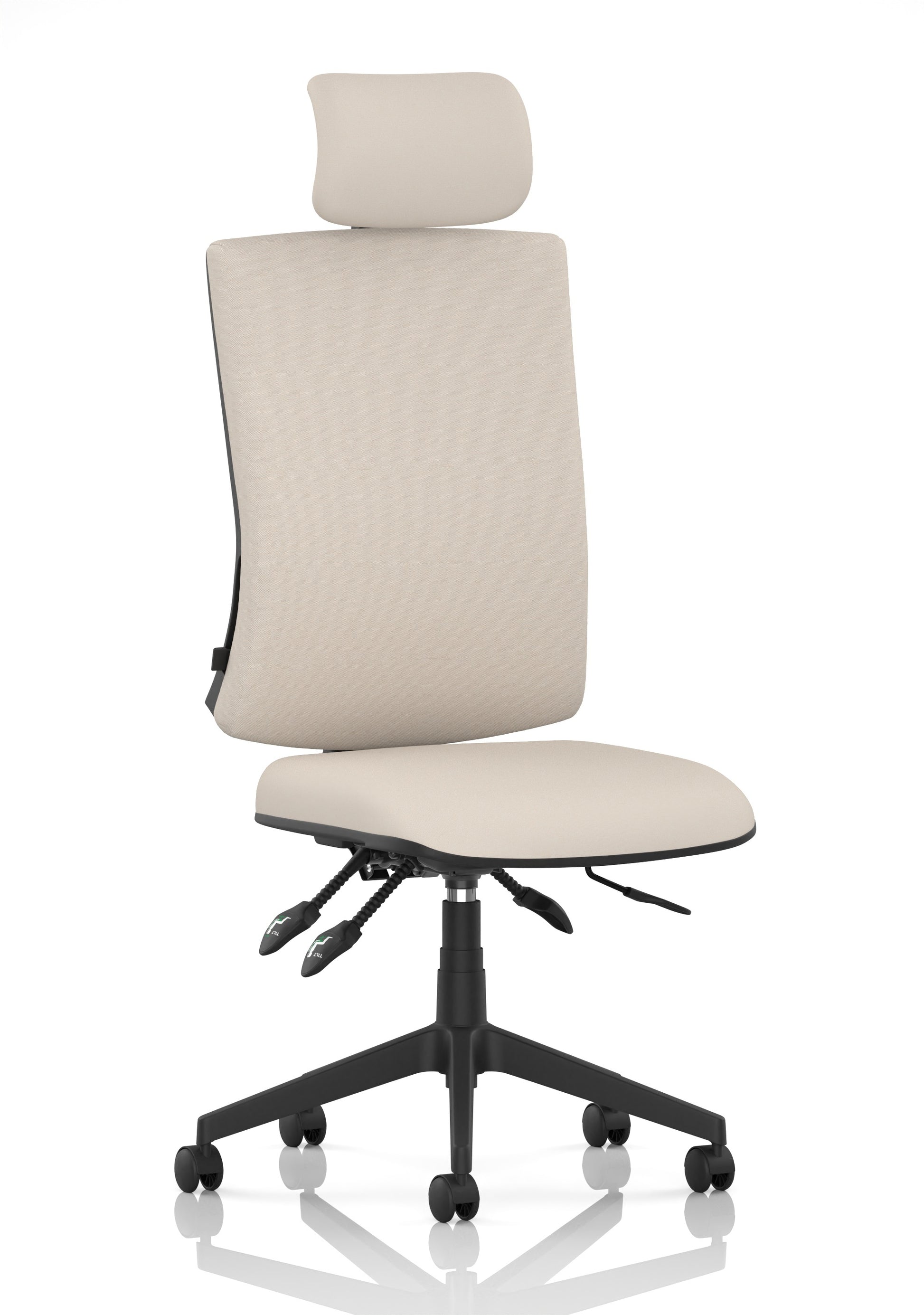 Orlena High Back Ergonomic Task Operator Office Chair with Headrest