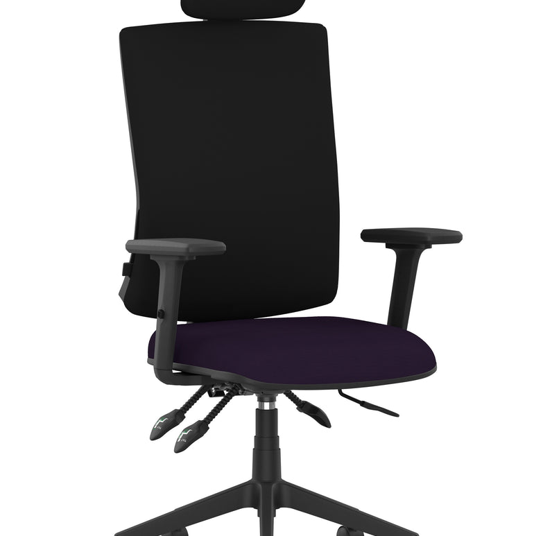 Orlena High Back Ergonomic Task Operator Office Chair with Headrest