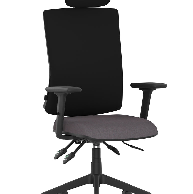 Orlena High Back Ergonomic Task Operator Office Chair with Headrest