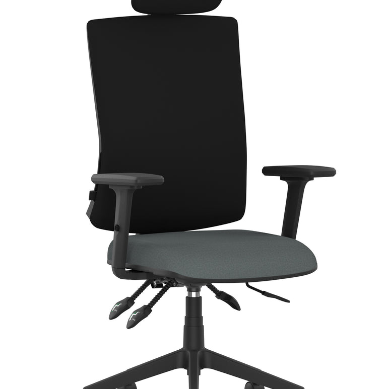 Orlena High Back Ergonomic Task Operator Office Chair with Headrest