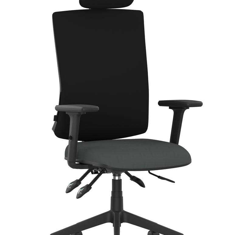Orlena High Back Ergonomic Task Operator Office Chair with Headrest