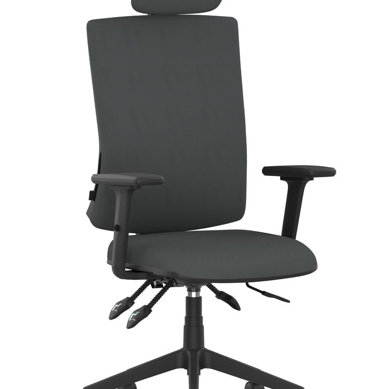 Orlena High Back Ergonomic Task Operator Office Chair with Headrest