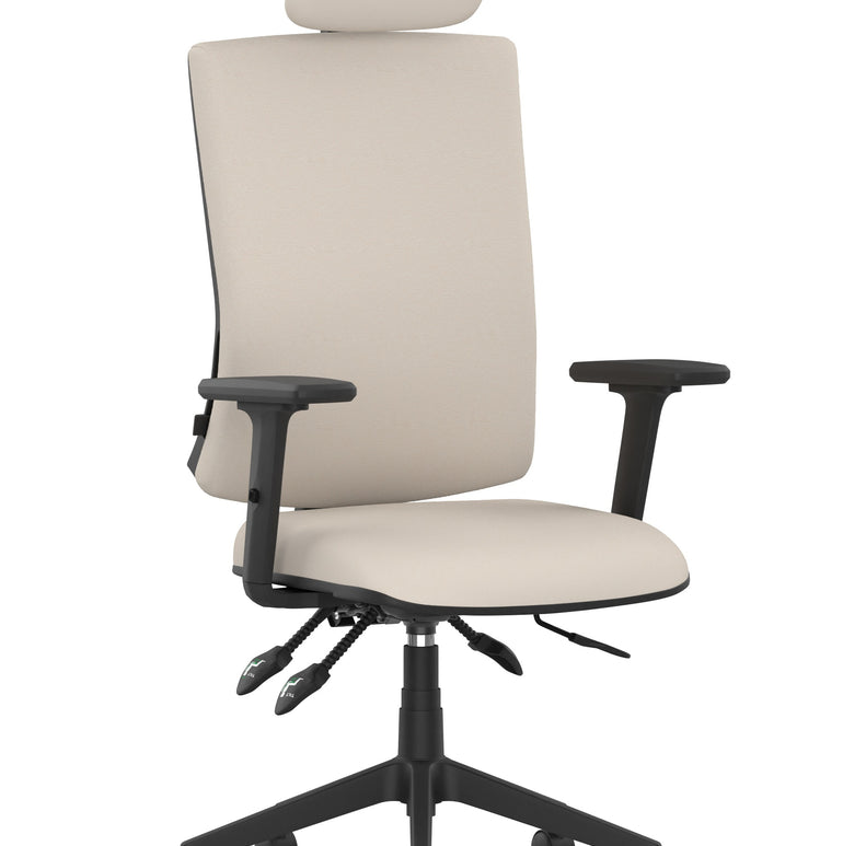 Orlena High Back Ergonomic Task Operator Office Chair with Headrest